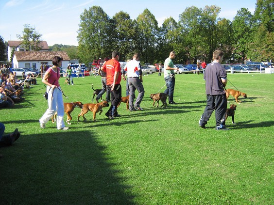 www.boxer-show.eu