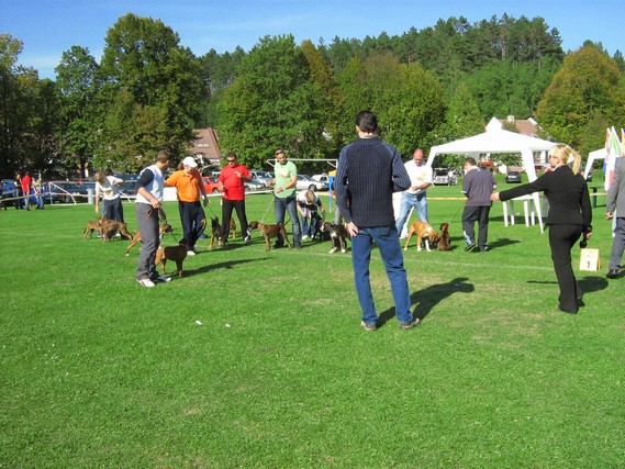 www.boxer-show.eu