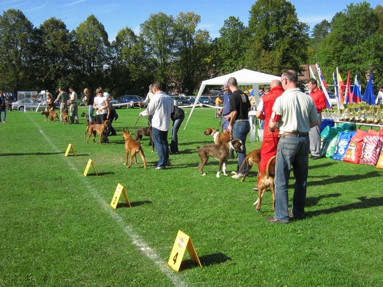 www.boxer-show.eu