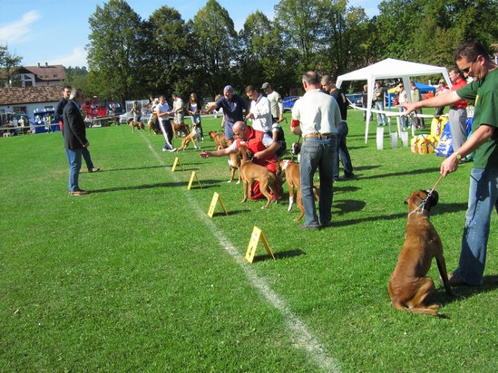 www.boxer-show.eu