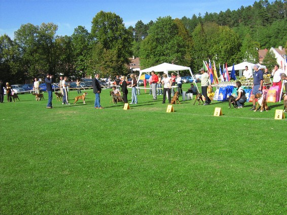 www.boxer-show.eu