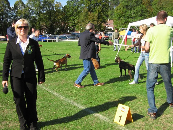 www.boxer-show.eu