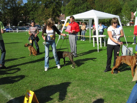 www.boxer-show.eu
