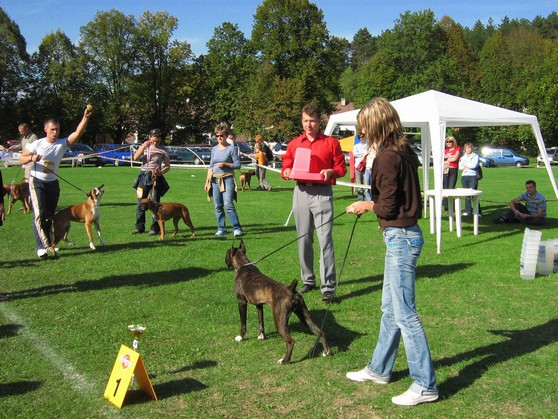www.boxer-show.eu