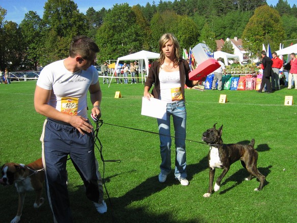 www.boxer-show.eu