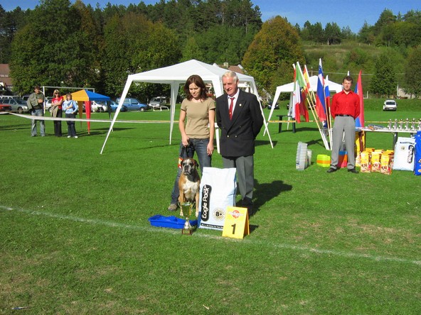 www.boxer-show.eu
