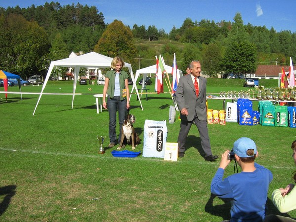 www.boxer-show.eu