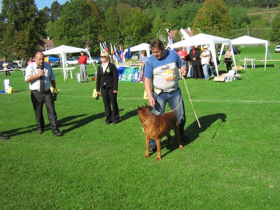 www.boxer-show.eu