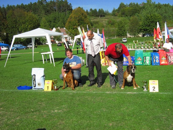 www.boxer-show.eu