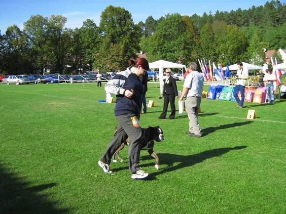 www.boxer-show.eu
