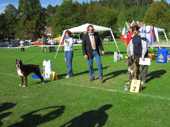 www.boxer-show.eu