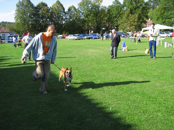 www.boxer-show.eu