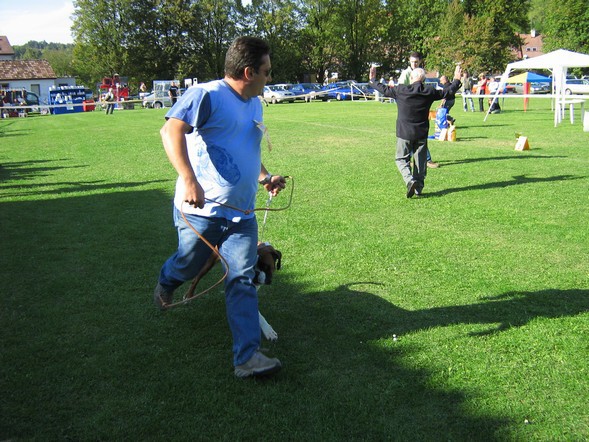 www.boxer-show.eu