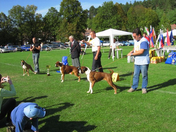 www.boxer-show.eu