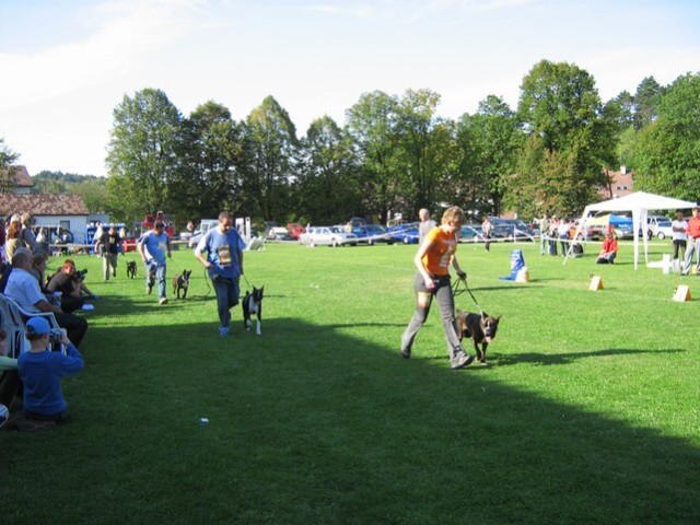www.boxer-show.eu