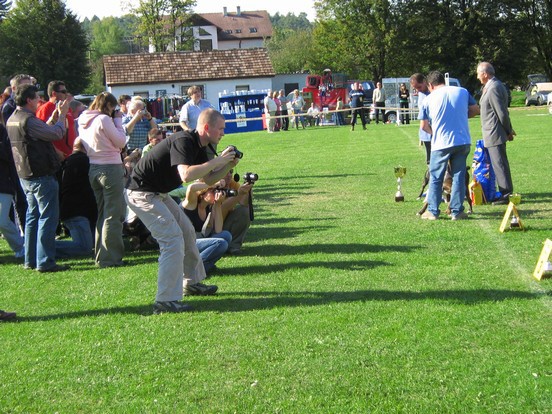 www.boxer-show.eu