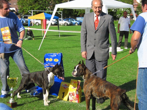 www.boxer-show.eu