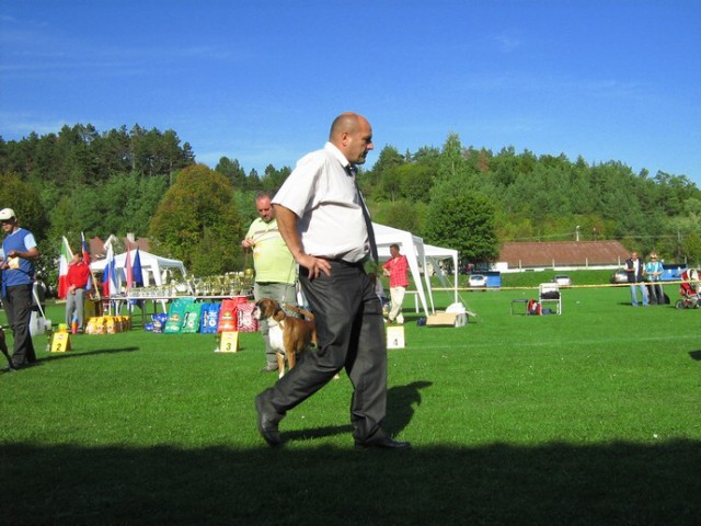 www.boxer-show.eu