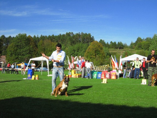 www.boxer-show.eu