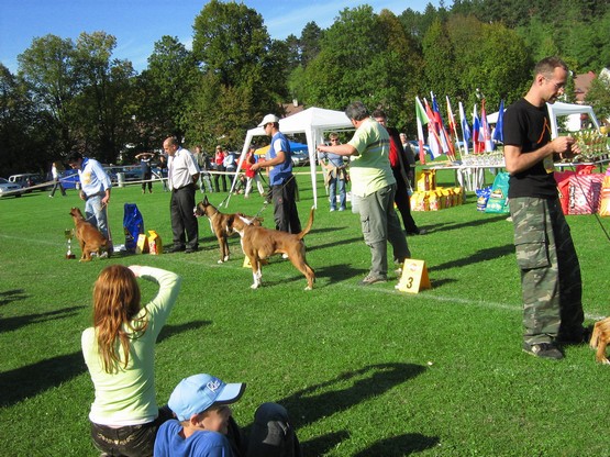 www.boxer-show.eu