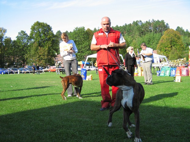 www.boxer-show.eu