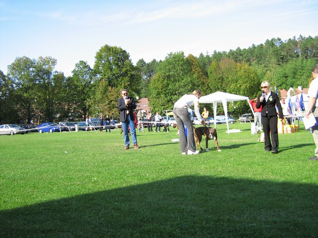 www.boxer-show.eu