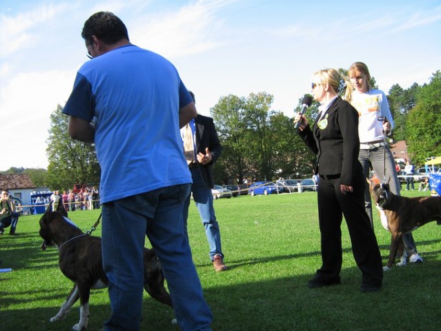 www.boxer-show.eu