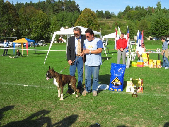 www.boxer-show.eu