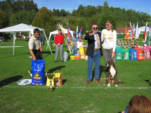 www.boxer-show.eu