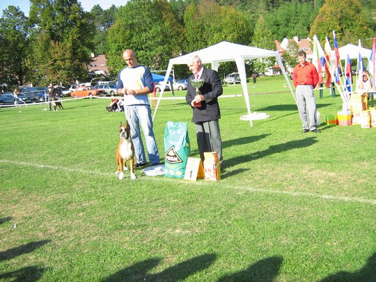 www.boxer-show.eu