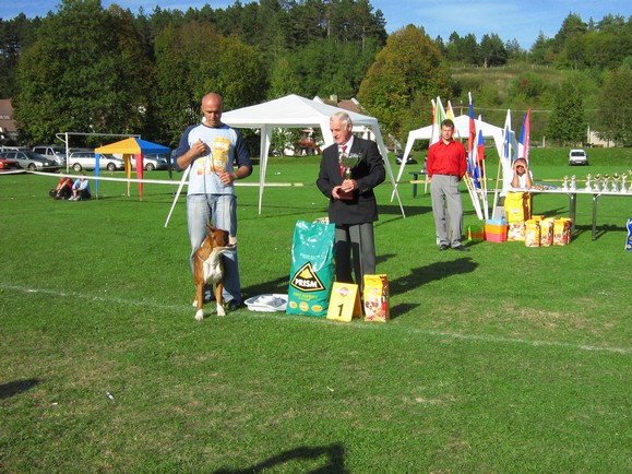 www.boxer-show.eu