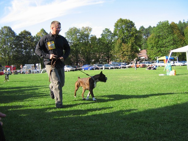 www.boxer-show.eu