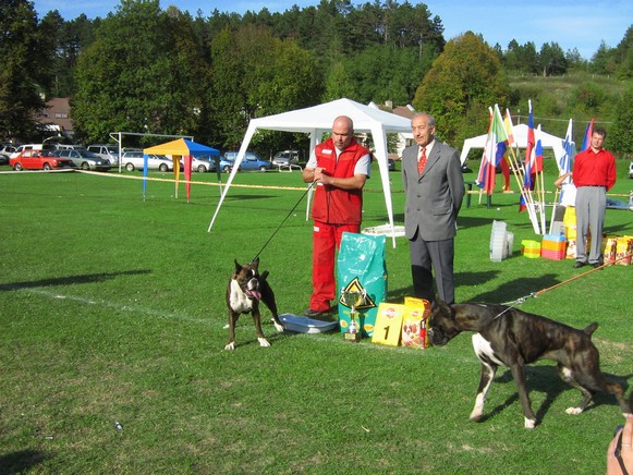www.boxer-show.eu