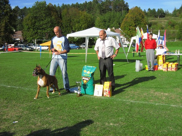 www.boxer-show.eu
