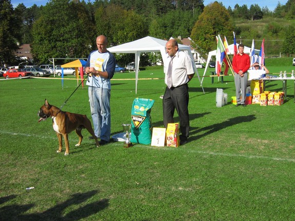 www.boxer-show.eu