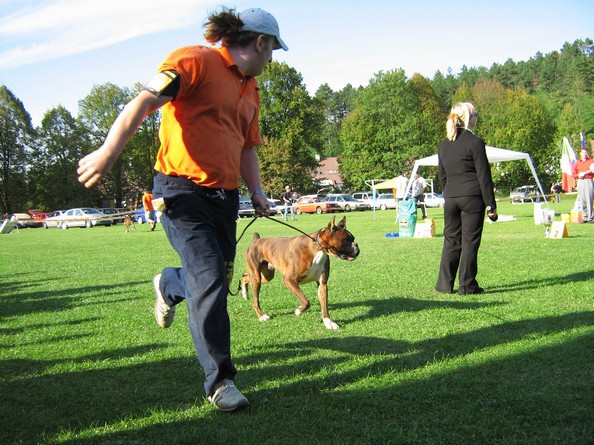 www.boxer-show.eu