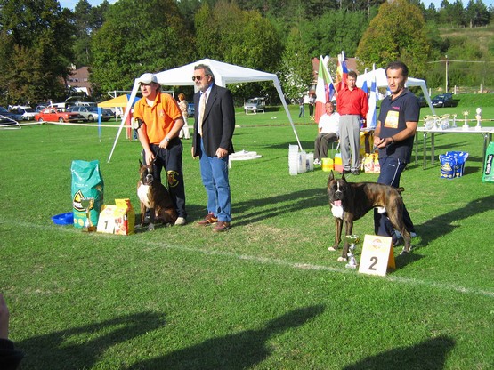 www.boxer-show.eu
