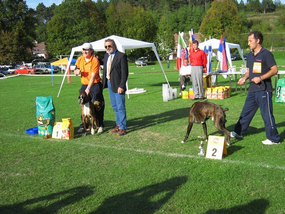 www.boxer-show.eu