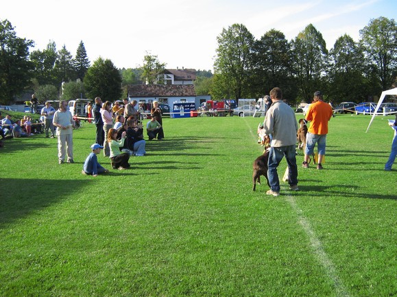www.boxer-show.eu