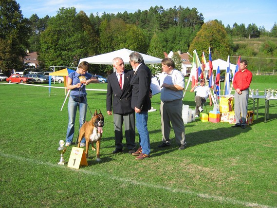 www.boxer-show.eu