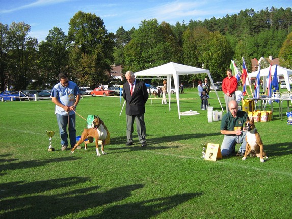 www.boxer-show.eu