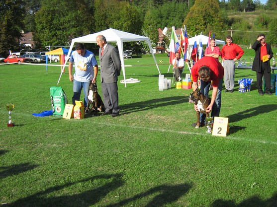 www.boxer-show.eu