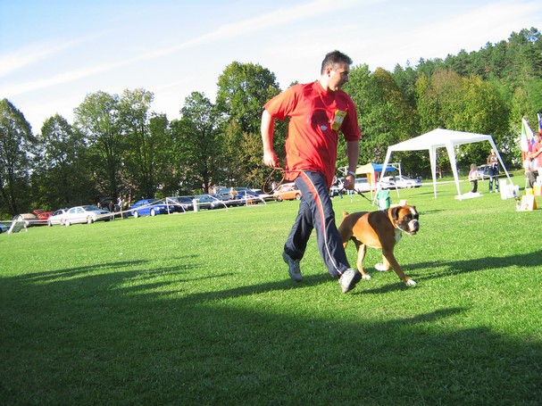 www.boxer-show.eu
