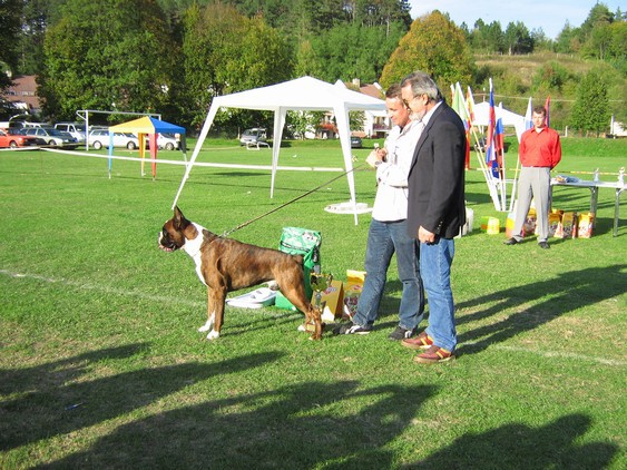 www.boxer-show.eu