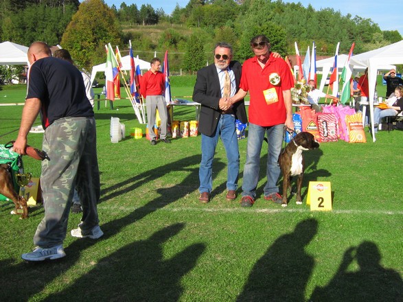 www.boxer-show.eu