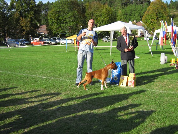 www.boxer-show.eu