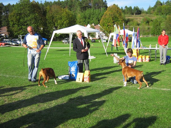 www.boxer-show.eu