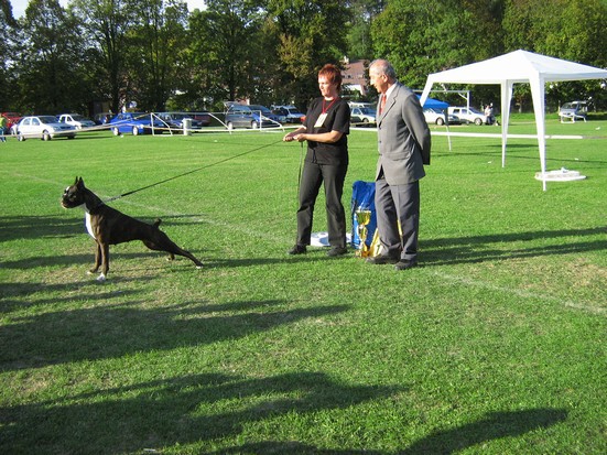 www.boxer-show.eu