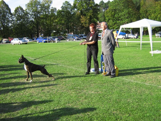 www.boxer-show.eu