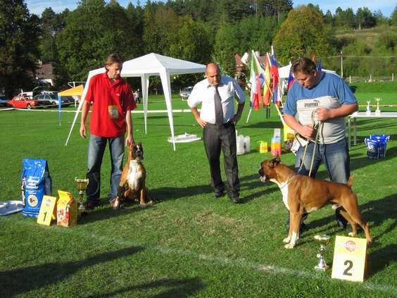 www.boxer-show.eu
